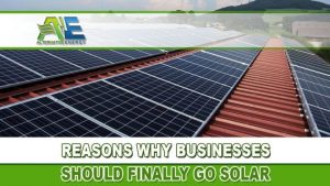 Why-Businesses-Go-Solar-Solar-Energy-For-Business