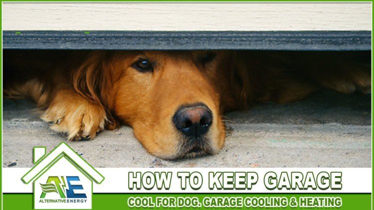How-To-Keep-Garage-Cool-For-Dog